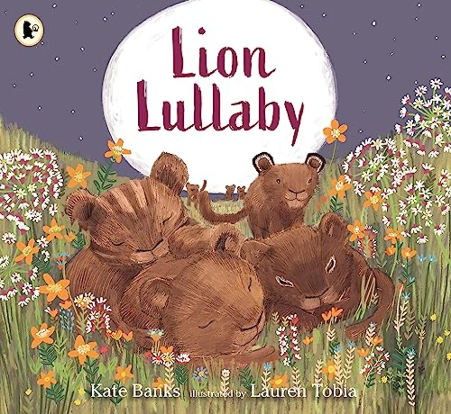 Lion Lullaby