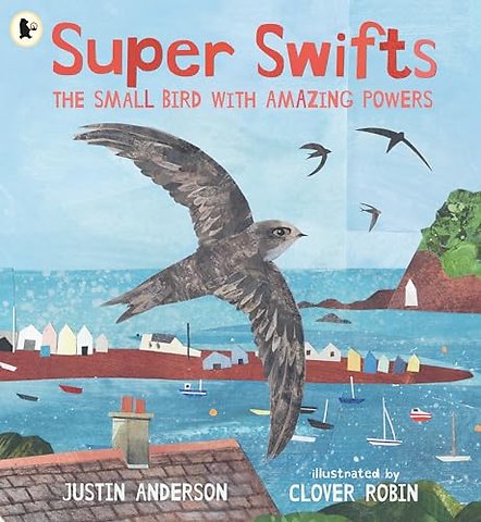 Super Swifts: The Small Bird With Amazing Powers