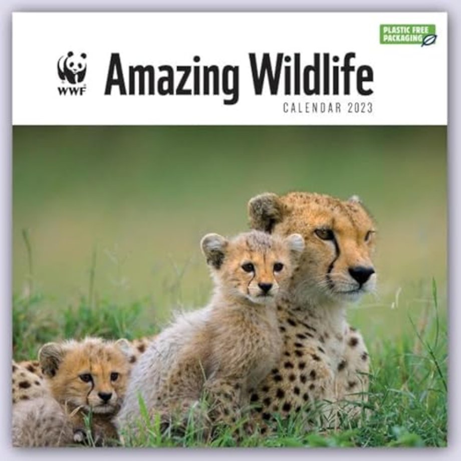 WWF Amazing Wildlife Square Wall Calendar 2023