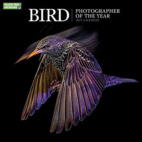 Bird Photographer Of The Year Square Wall Calendar 2023