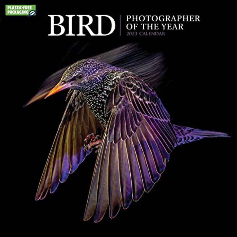 Bird Photographer Of The Year Square Wall Calendar 2023