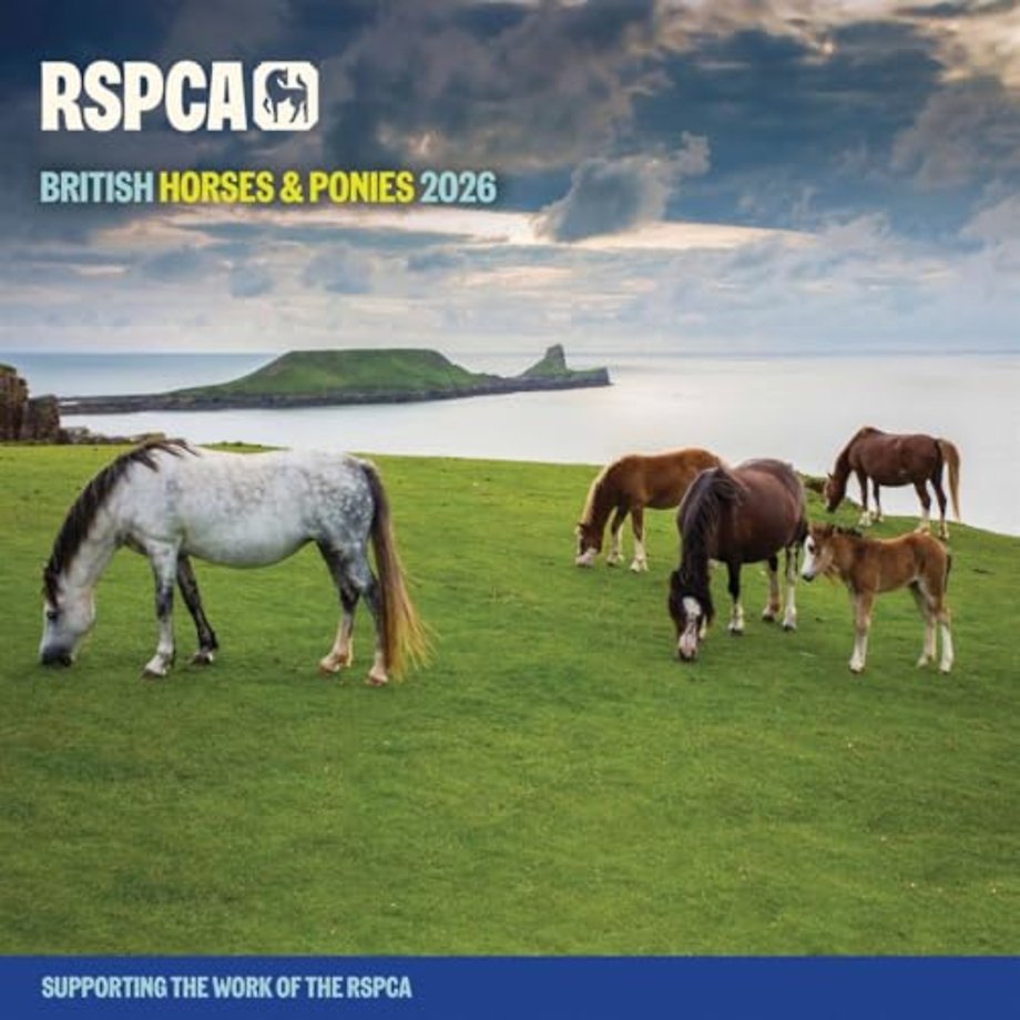 Rspca British Horses Ponies Square Wall