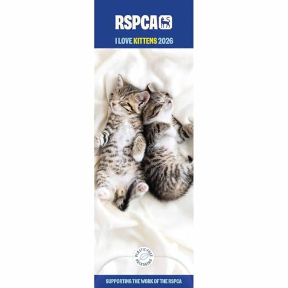 Rspca I Love Kittens Slim Calendar 2026