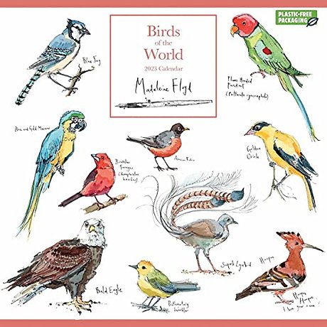 Madeleine Floyd, Birds of the World Square Wall Calendar 2023