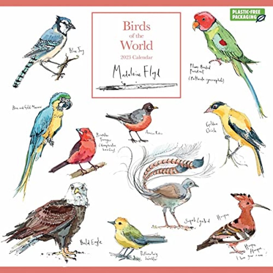 Madeleine Floyd, Birds of the World Square Wall Calendar 2023