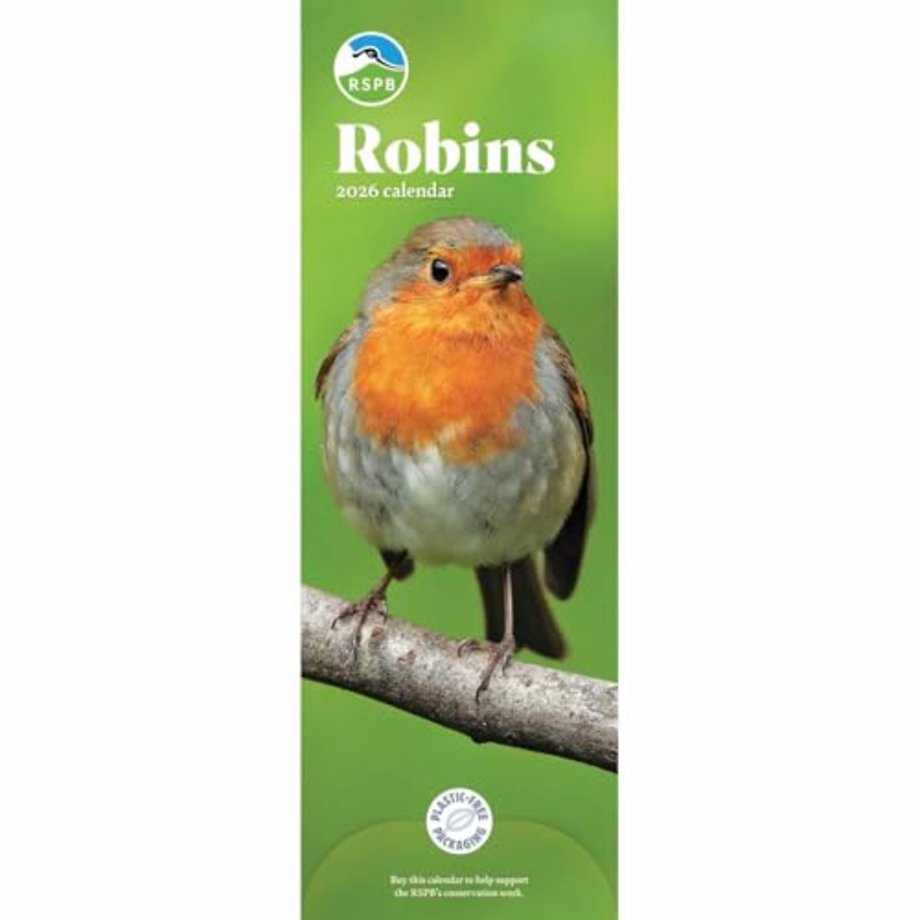 Rspb Robins Slim Calendar 2026