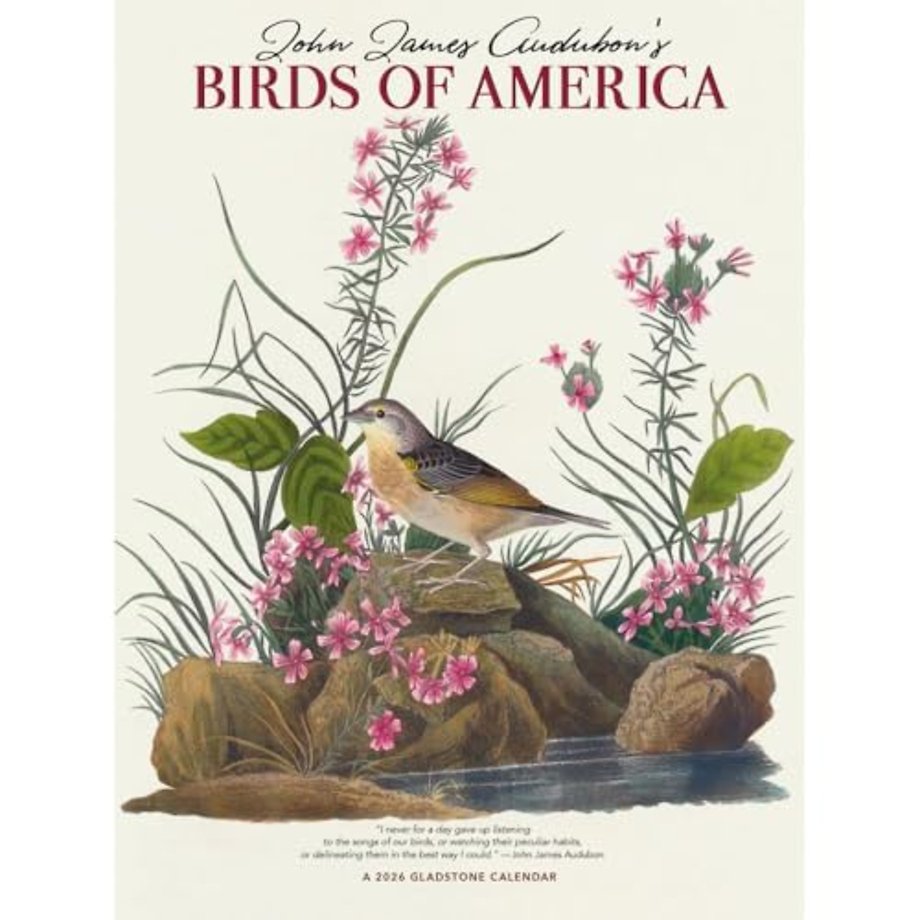 Audubons Birds Of America Deluxe Wall Su