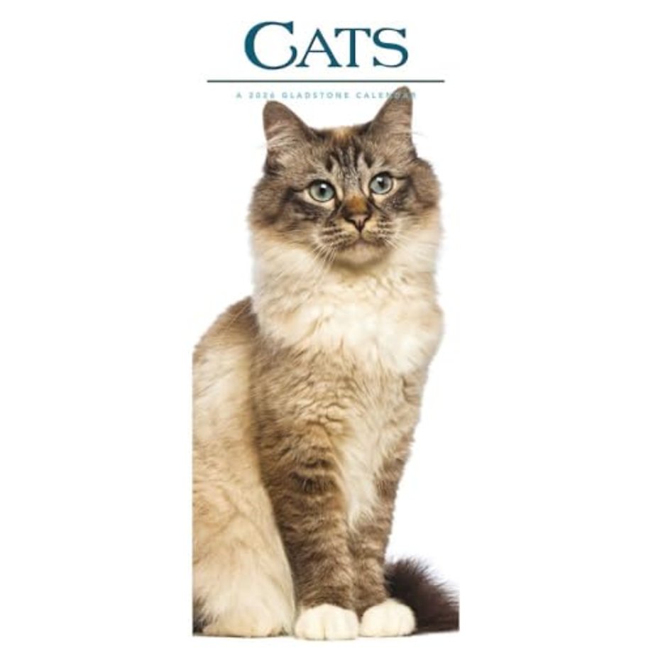 Cats Deluxe Slim Sunday Start Calendar 2