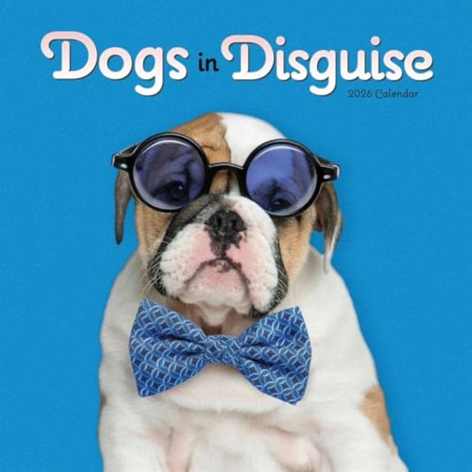 Dogs In Disguise Square Wall Calendar 20