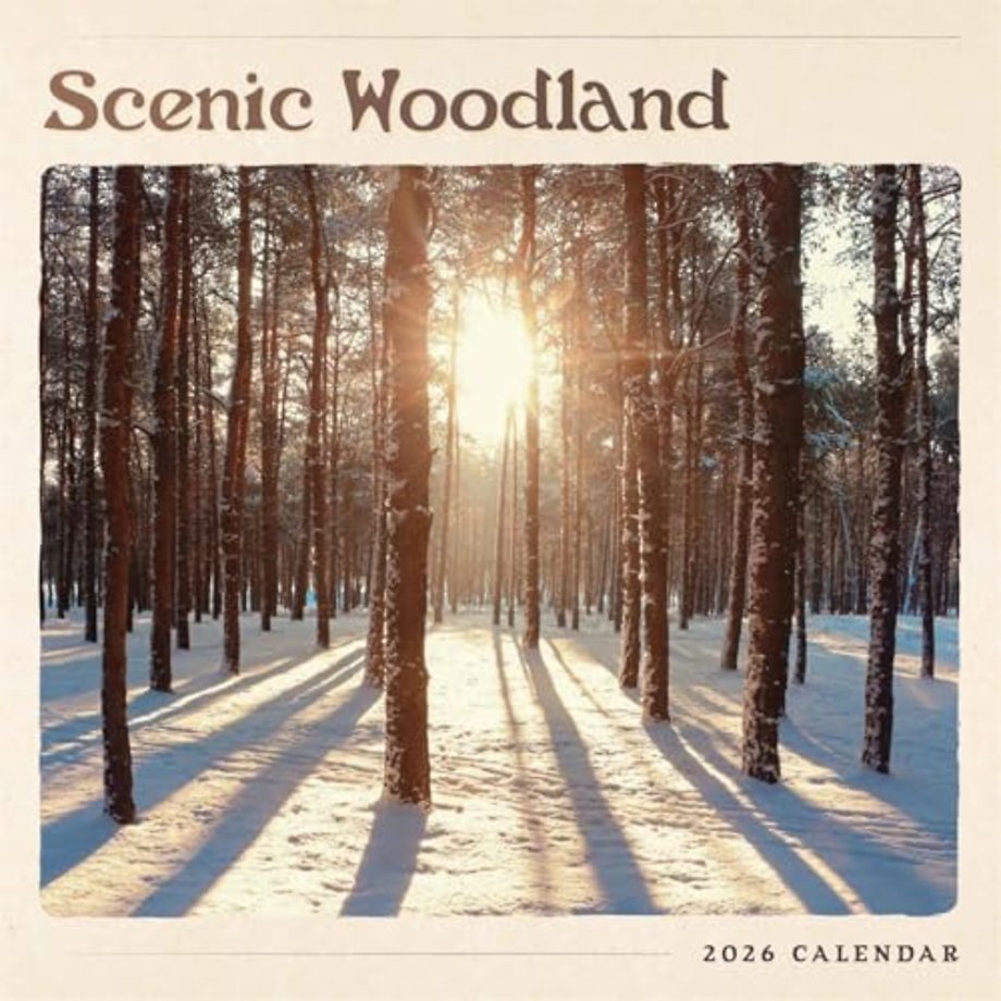 Scenic Woodland Square Wall Calendar 202