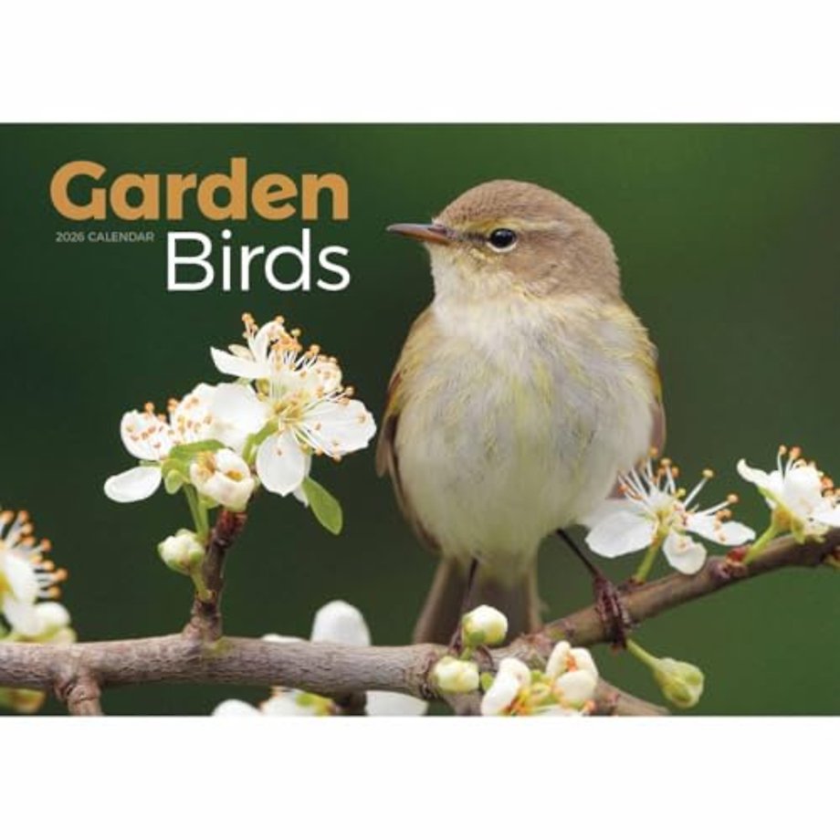 Garden Birds A4 Calendar 2026