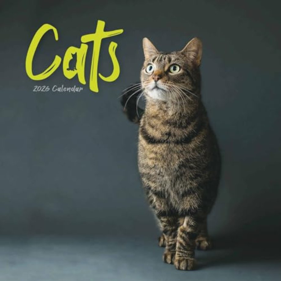 Cats Wiro Wall Calendar 2026