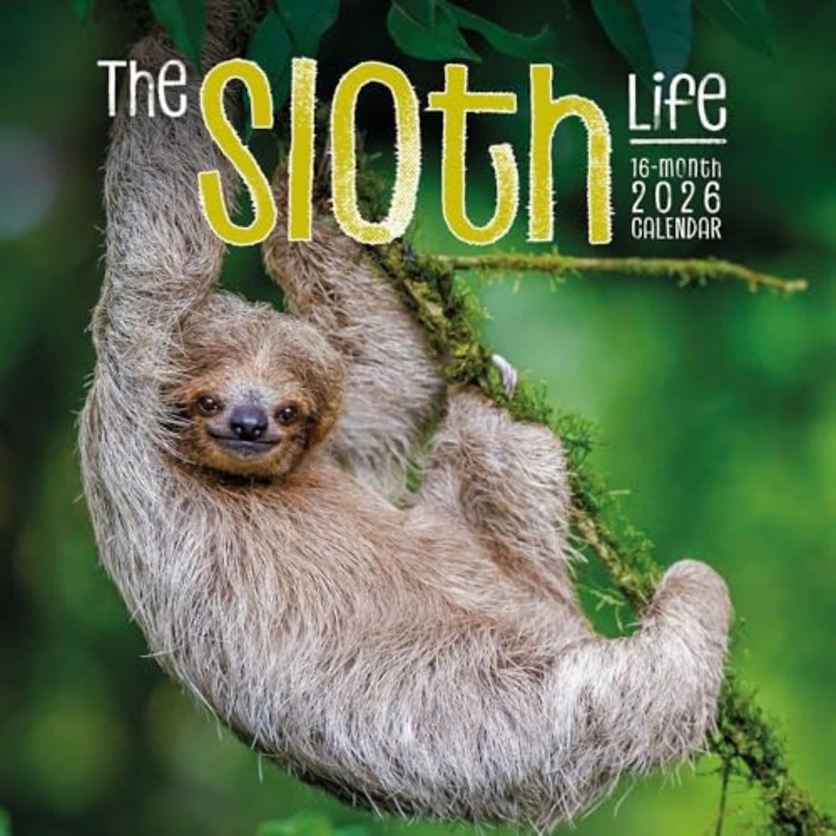 Sloths Square Wall Sunday Start Calendar
