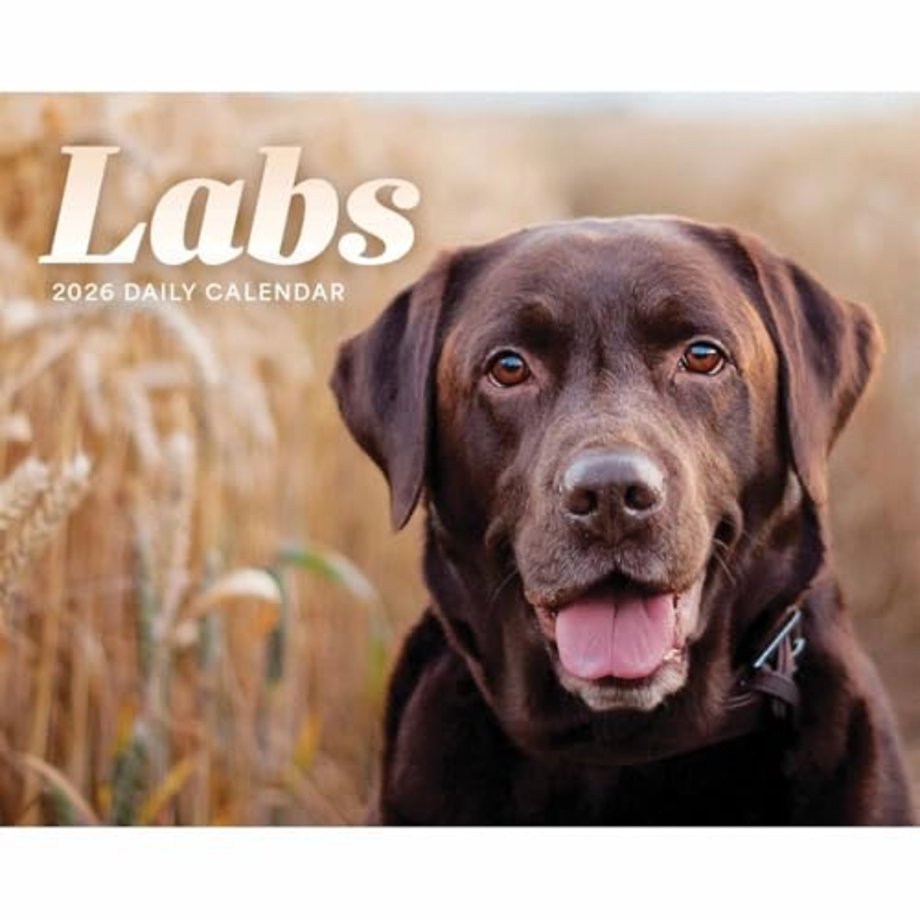 Labs Box Calendar 2026