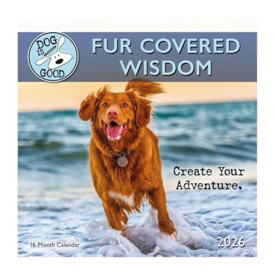 Dog Is Good Fur Covered Wisdom Square Wa