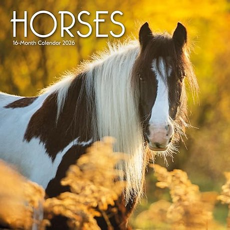 Horses Square Wall Sunday Start Calendar