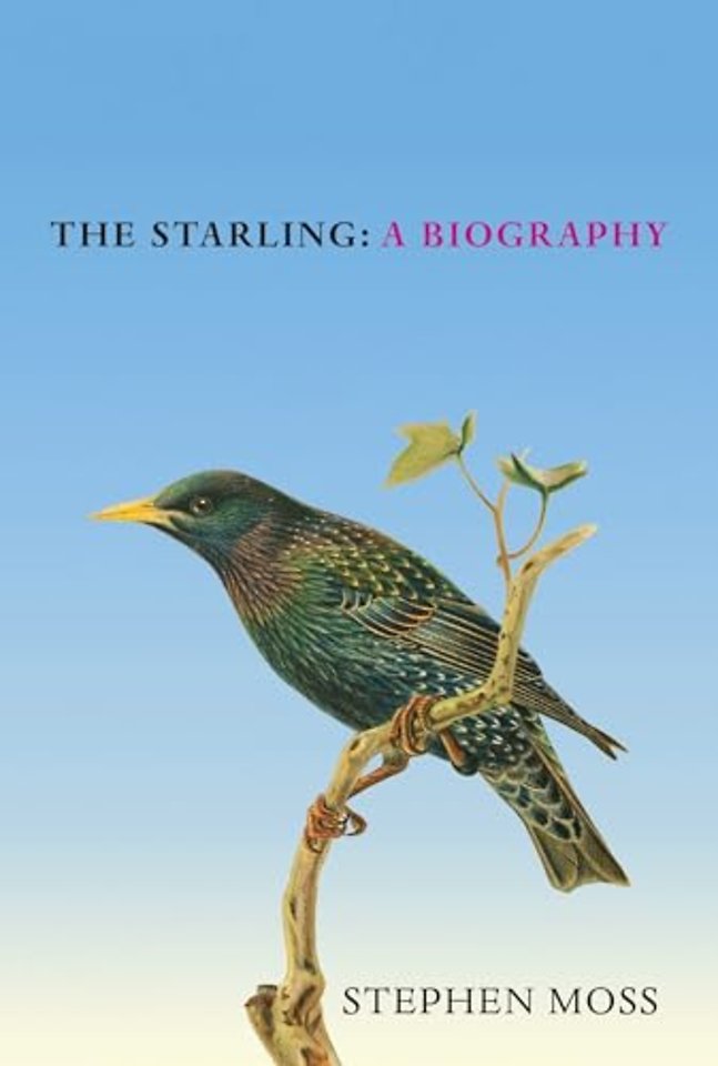 The Starling