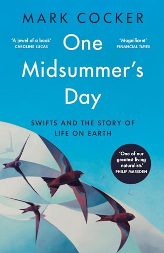 One Midsummer's Day