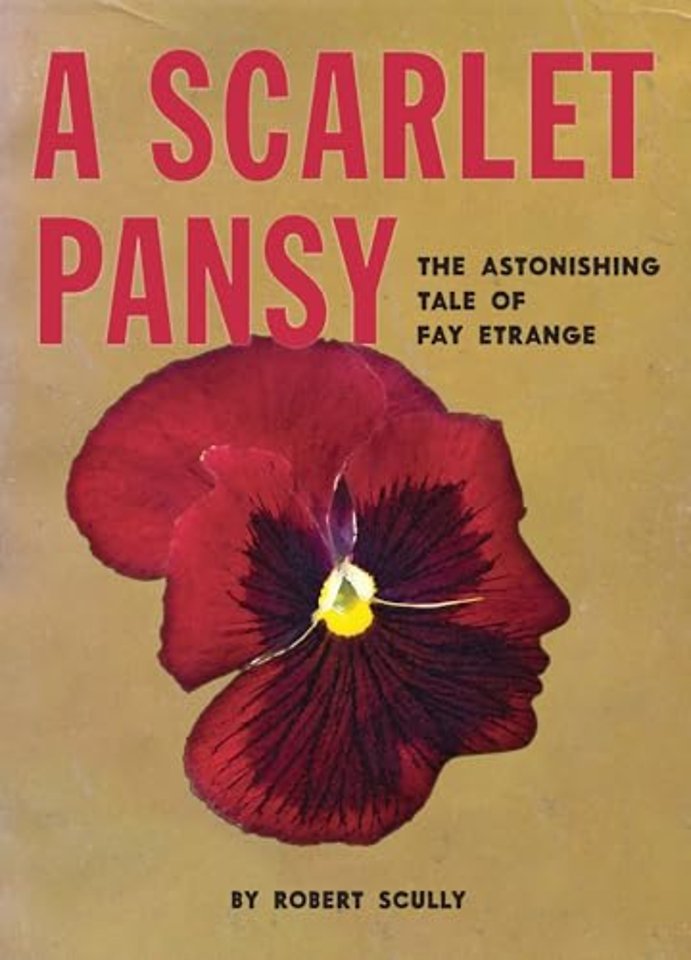 A Scarlet Pansy