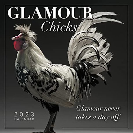 GLAMOUR CHICKS