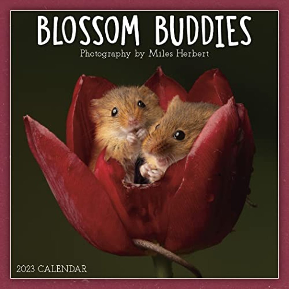 BLOSSOM BUDDIES