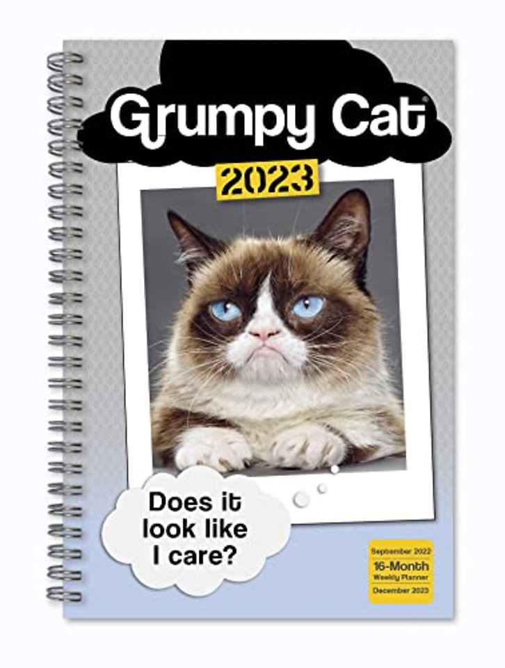GRUMPY CAT