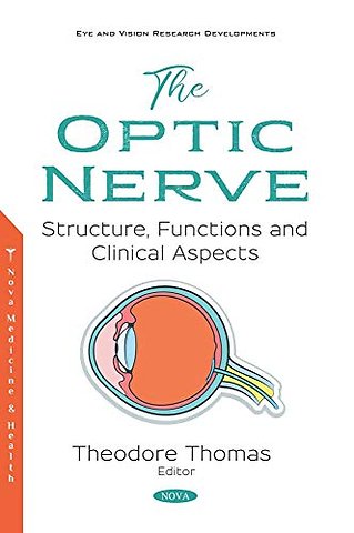 The Optic Nerve