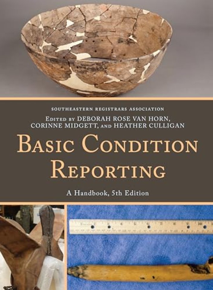 Basic Condition Reporting