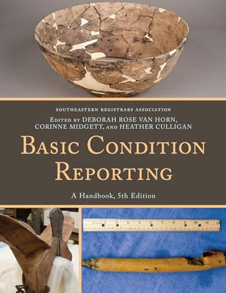 Basic Condition Reporting