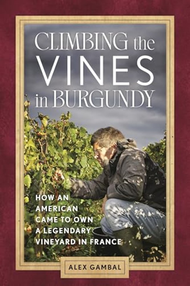 Climbing the Vines in Burgundy