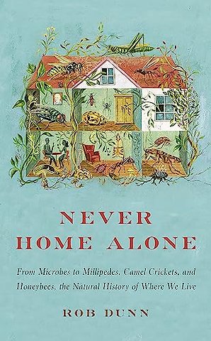 Never Home Alone