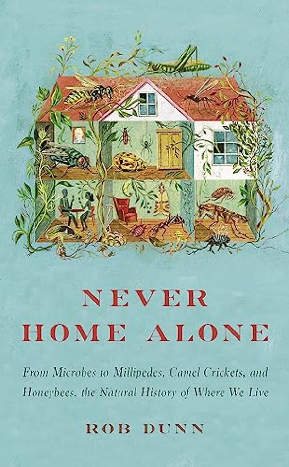 Never Home Alone