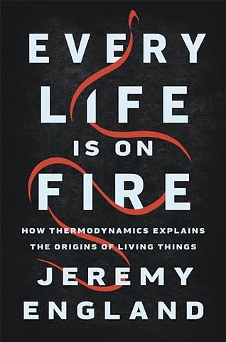 Every Life Is On Fire