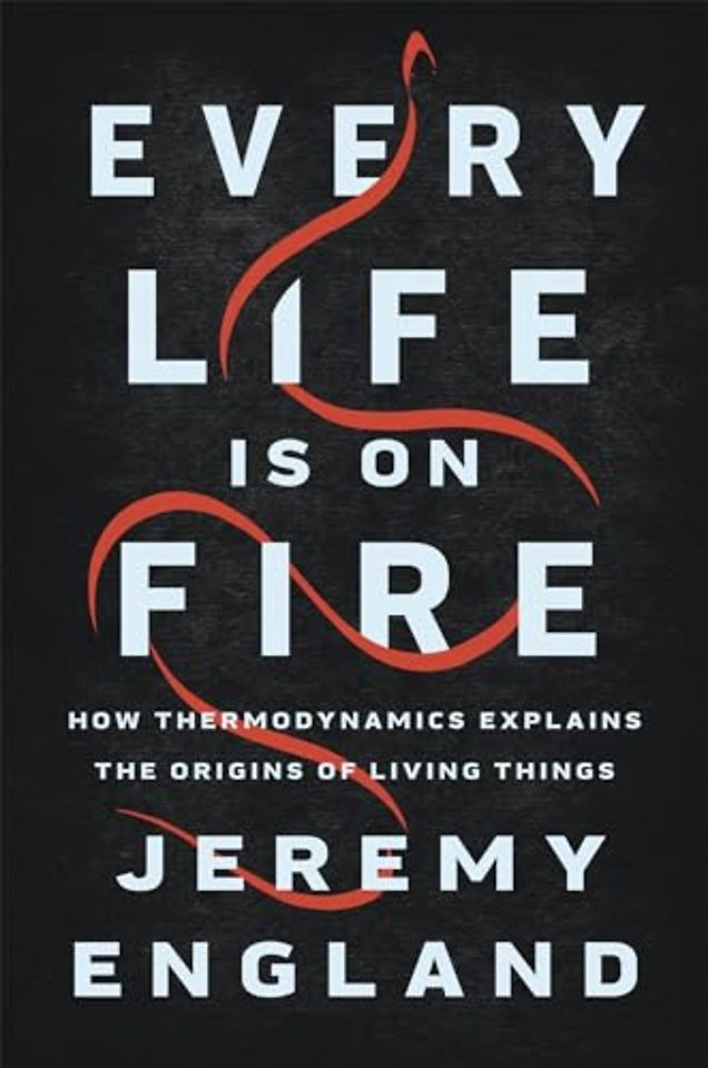 Every Life Is On Fire