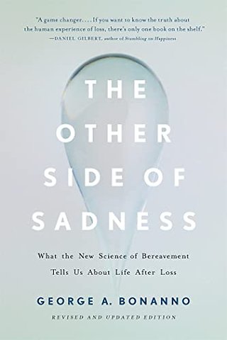 The Other Side of Sadness (Revised)