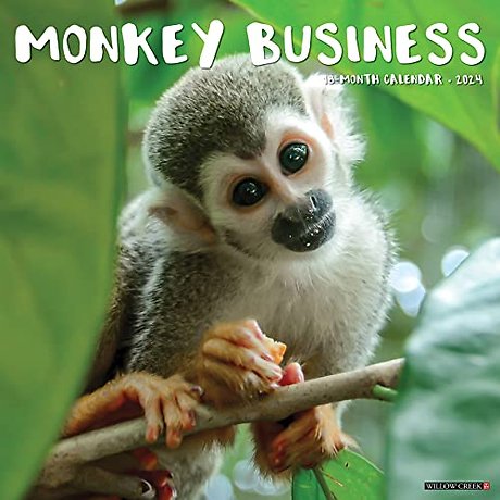 Monkey Business 2024 12 X 12 Wall Calendar