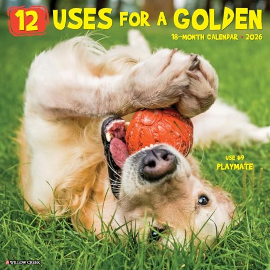 12 Uses for a Golden 2026 12 X 12 Wall Calendar