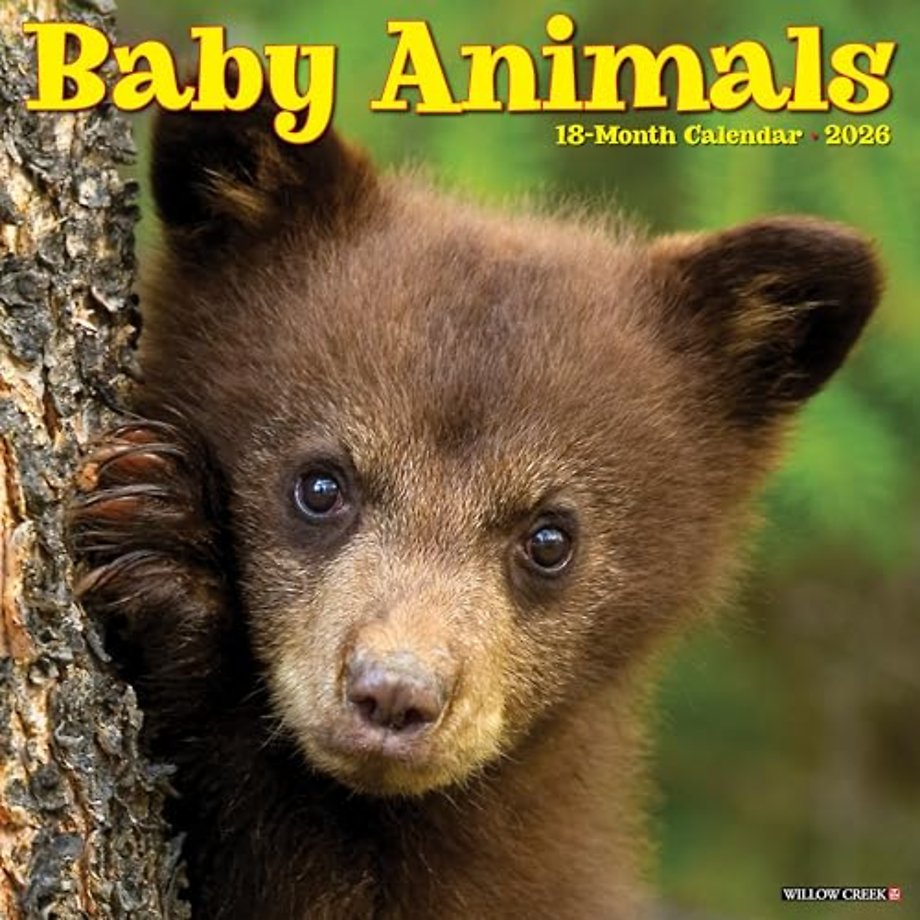 Baby Animals 2026 Wall Calendar