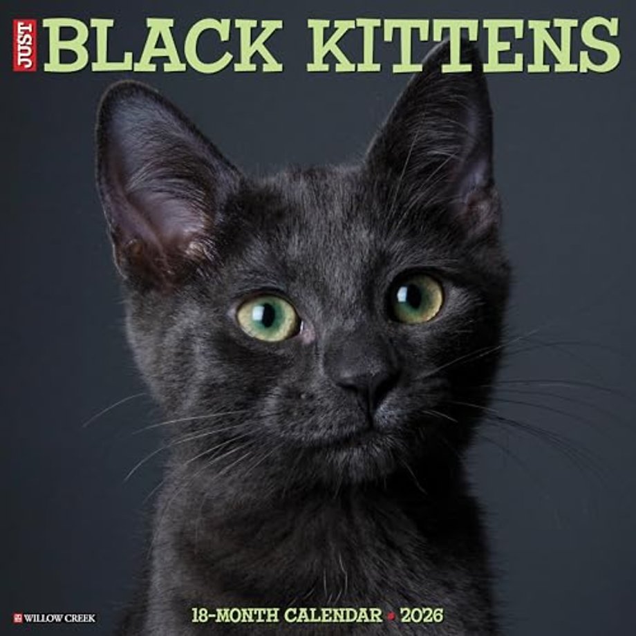 Black Kittens 2026 Wall Calendar