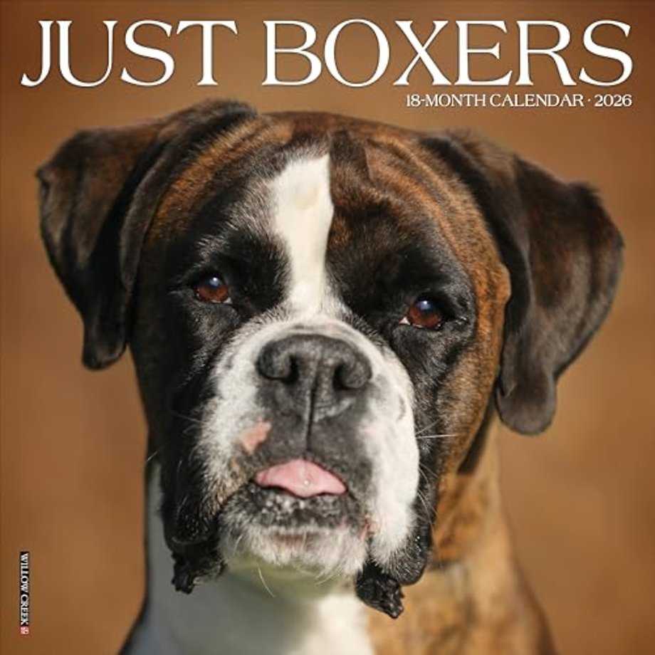 Boxers 2026 Wall Calendar