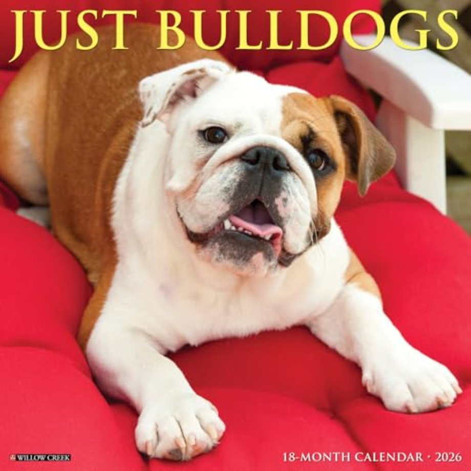 Bulldogs 2026 Wall Calendar