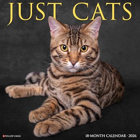 Cats 2026 Wall Calendar