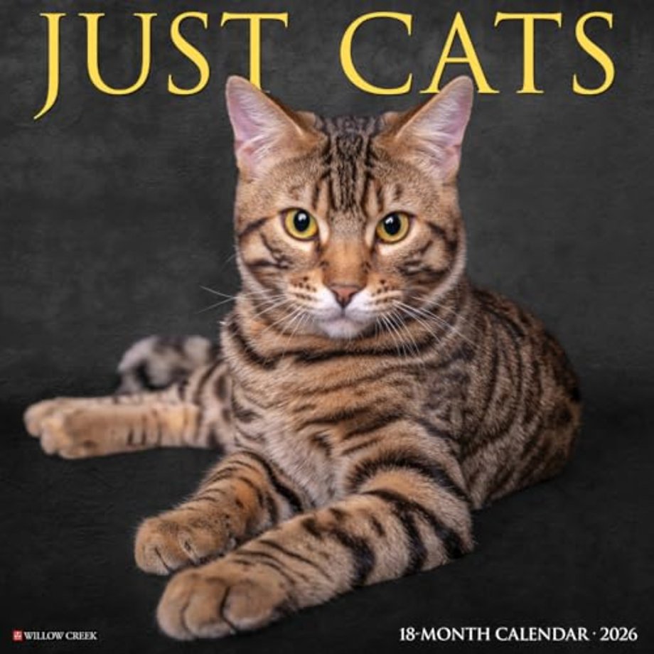 Cats 2026 Wall Calendar