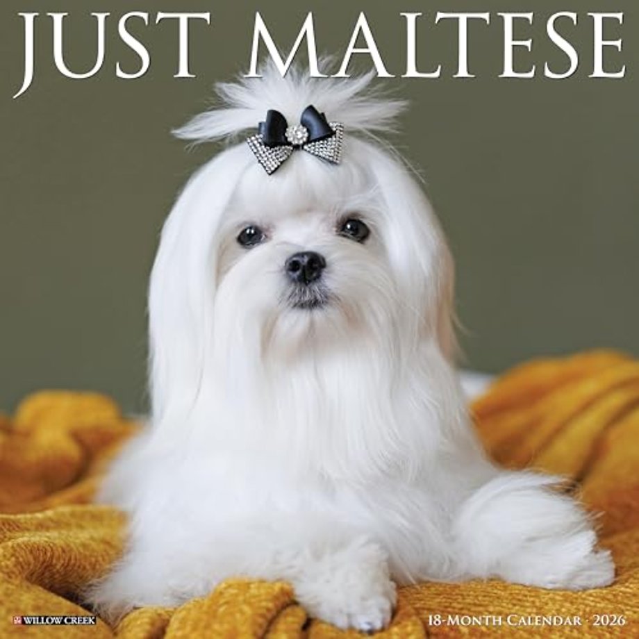 Maltese 2026 Wall Calendar