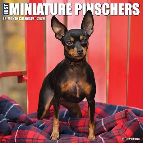 Miniature Pinschers 2026 Wall Calendar
