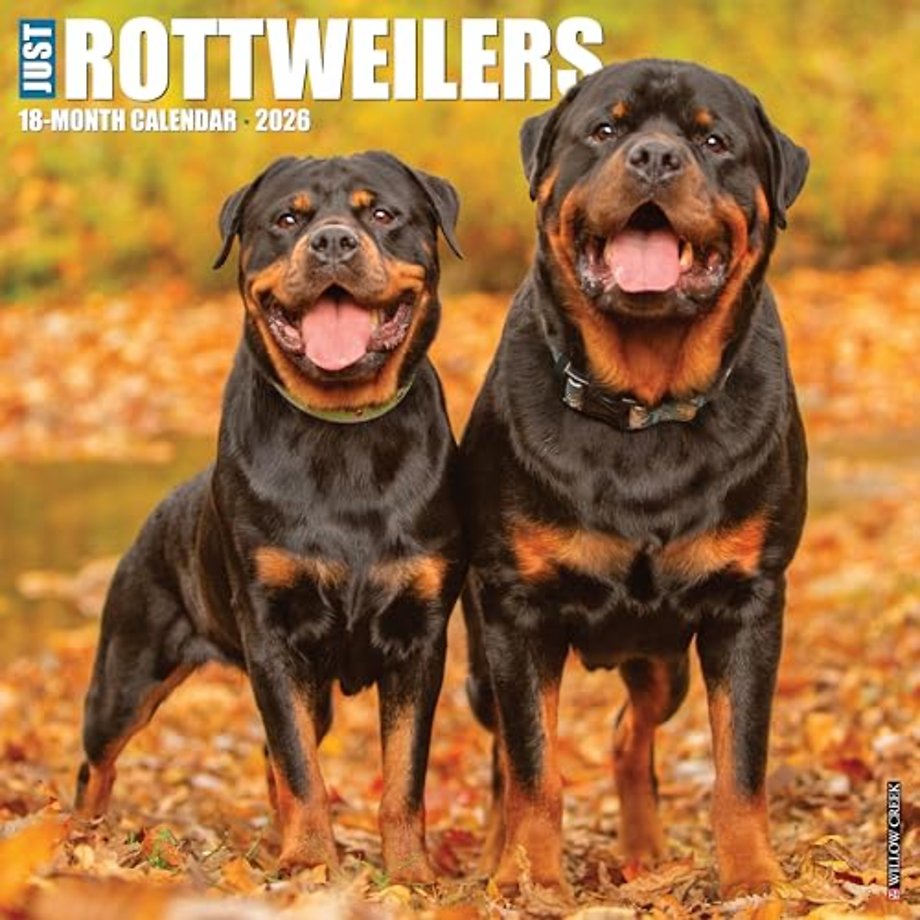Rottweilers 2026 Wall Calendar