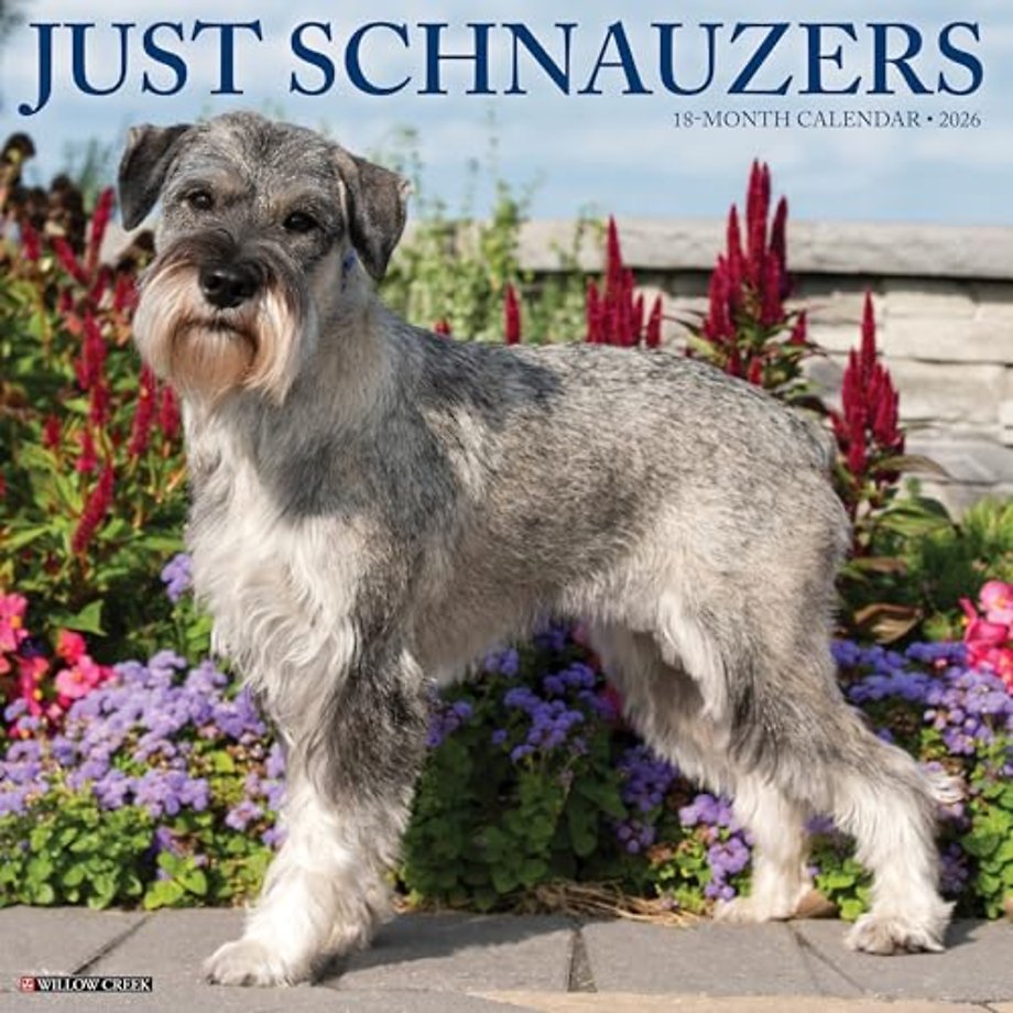 Schnauzers 2026 Wall Calendar
