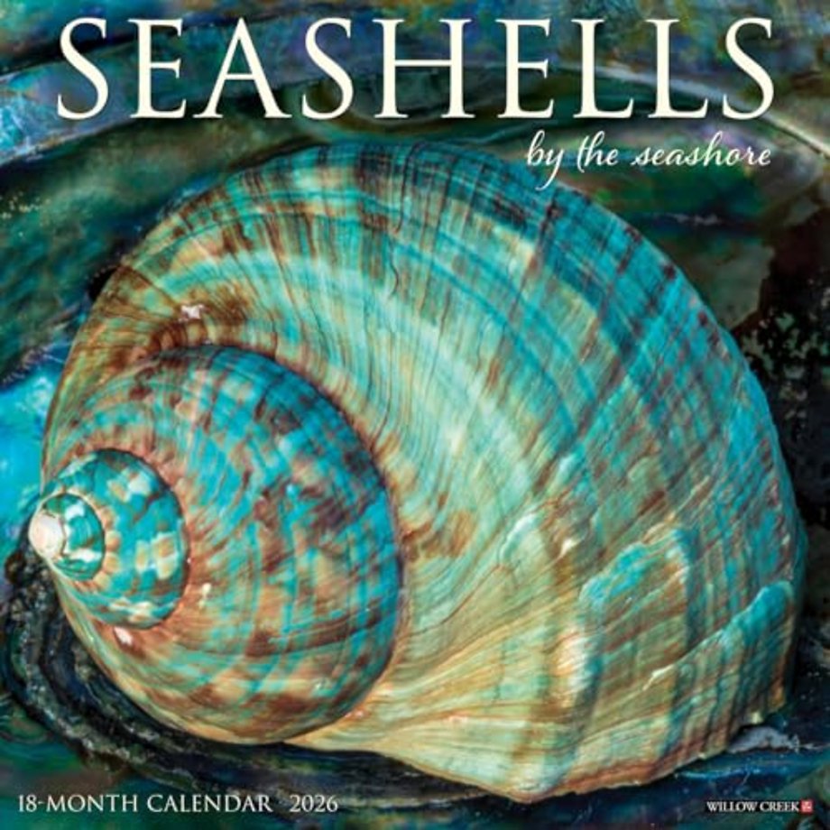 Seashells 2026 Wall Calendar