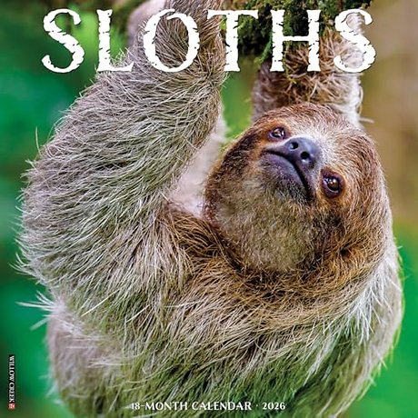 Sloths 2026 Wall Calendar