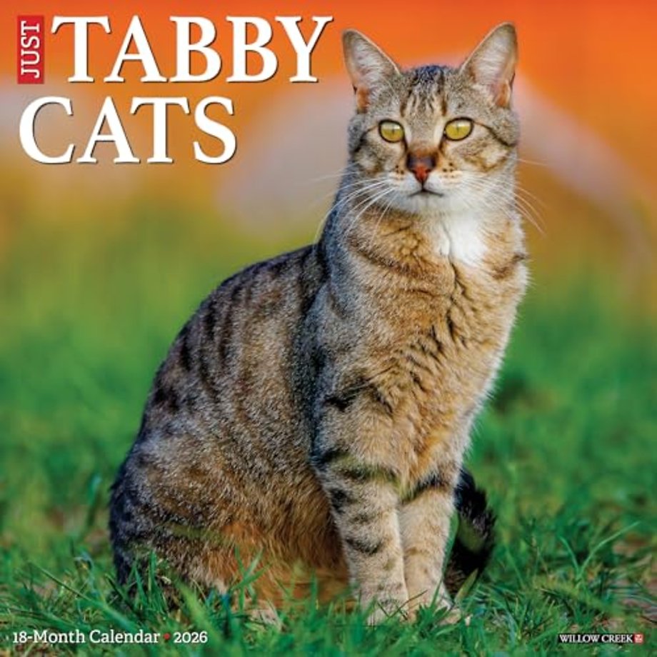 Tabby Cats 2026 Wall Calendar